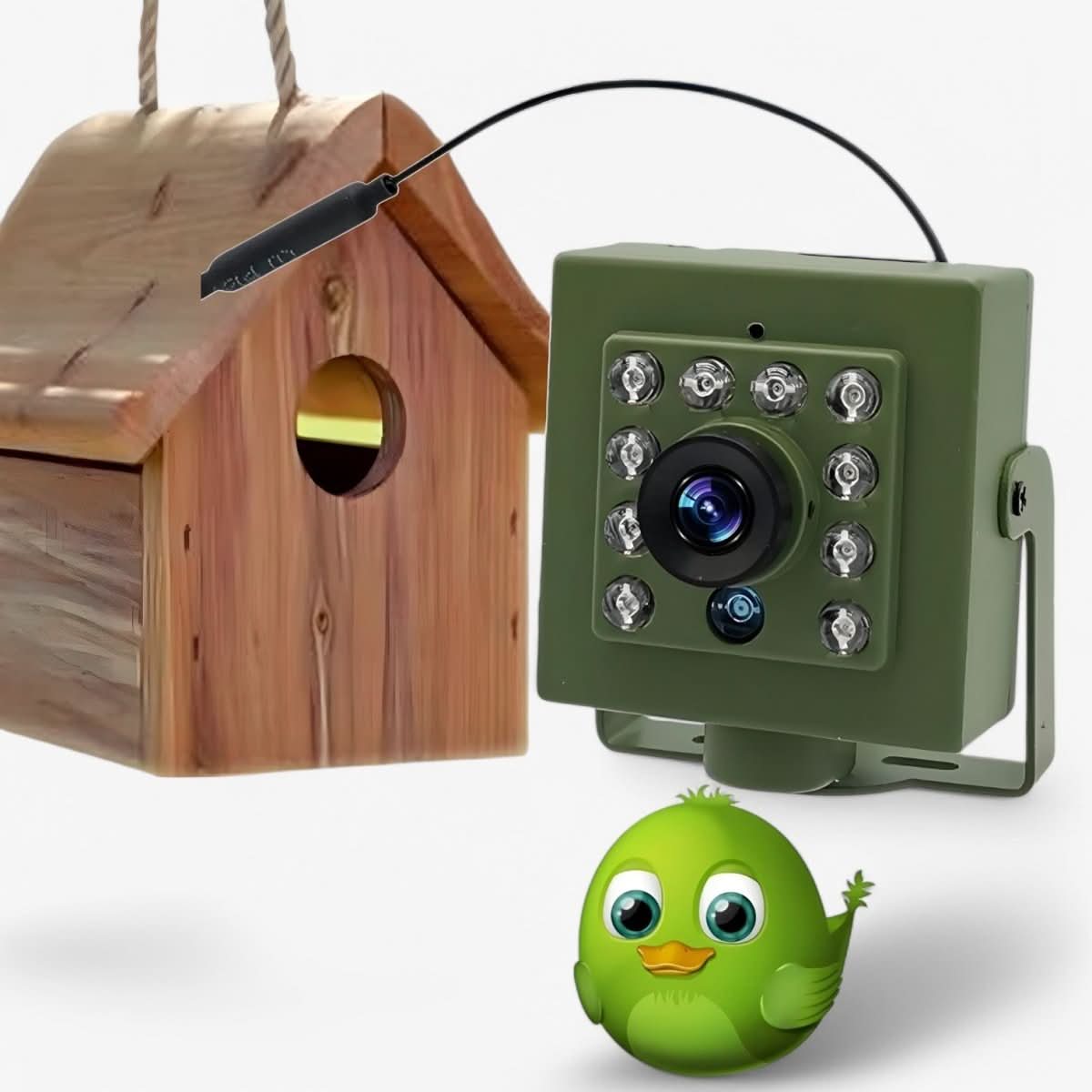 Wi-Fi Bird Camera – Green, Weatherproof 1080p HD for Nature Observation and Nest Monitoring Indoors or Outdoors