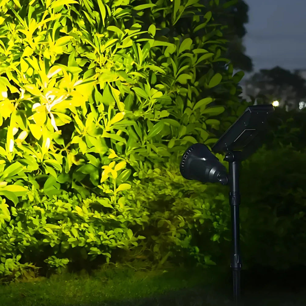 Solar-Powered Garden Spotlights – Multicolor, Adjustable Design for Garden, Patio, or Driveway