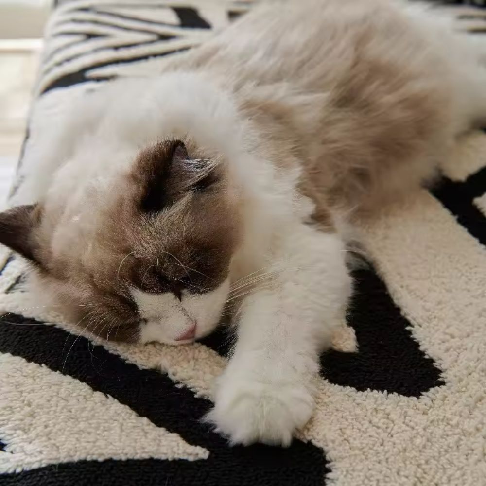 Bløde Mikrofiber Sofapuder – Grå, Moderne Maze Mønster til Stuer eller Familieområder