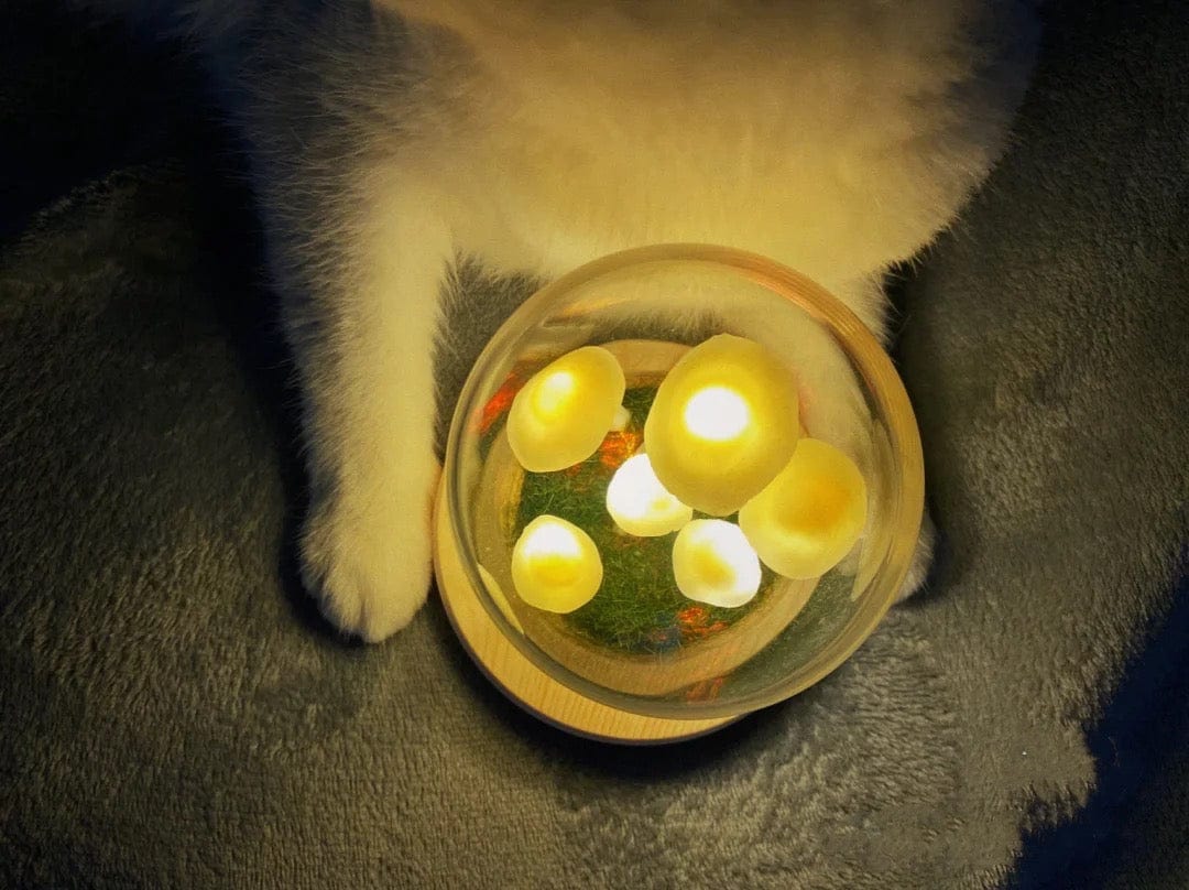 DIY Svampe Lampe – Glas og Træ, Kreativ Borddekoration til Stuen eller Soveværelset